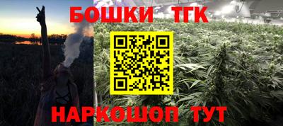 спиды Бийск