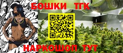 спиды Бийск