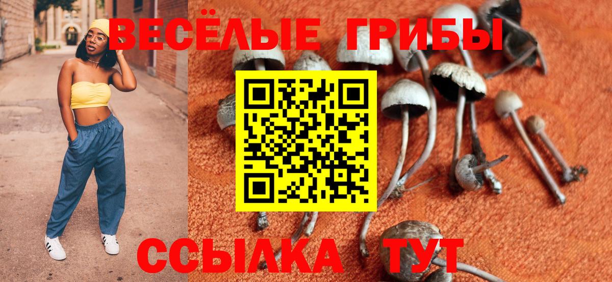 Галлюциногенные грибы ЛСД  Псилоцибиновые грибы Psilocybine cubensis  Заводоуковск  Вход с VPN 